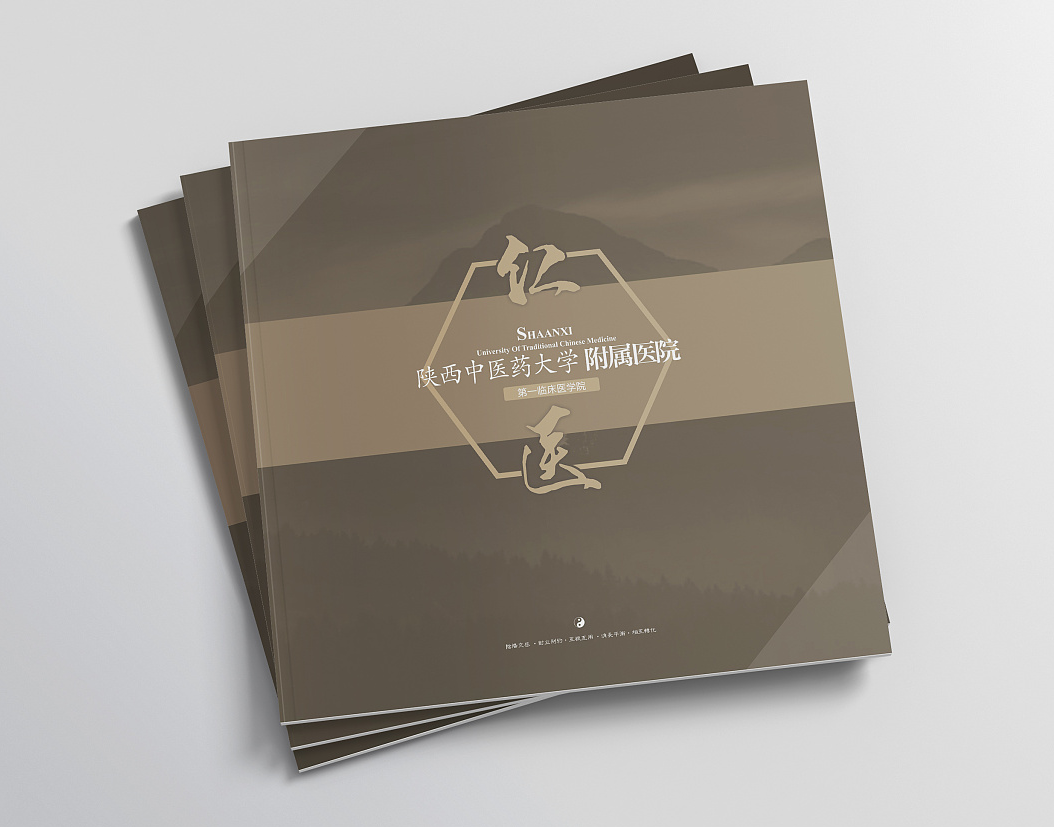 醫(yī)院畫冊設(shè)計(jì)——醫(yī)院宣傳冊設(shè)計(jì) 醫(yī)院畫冊設(shè)計(jì)——醫(yī)院宣傳冊設(shè)計(jì)