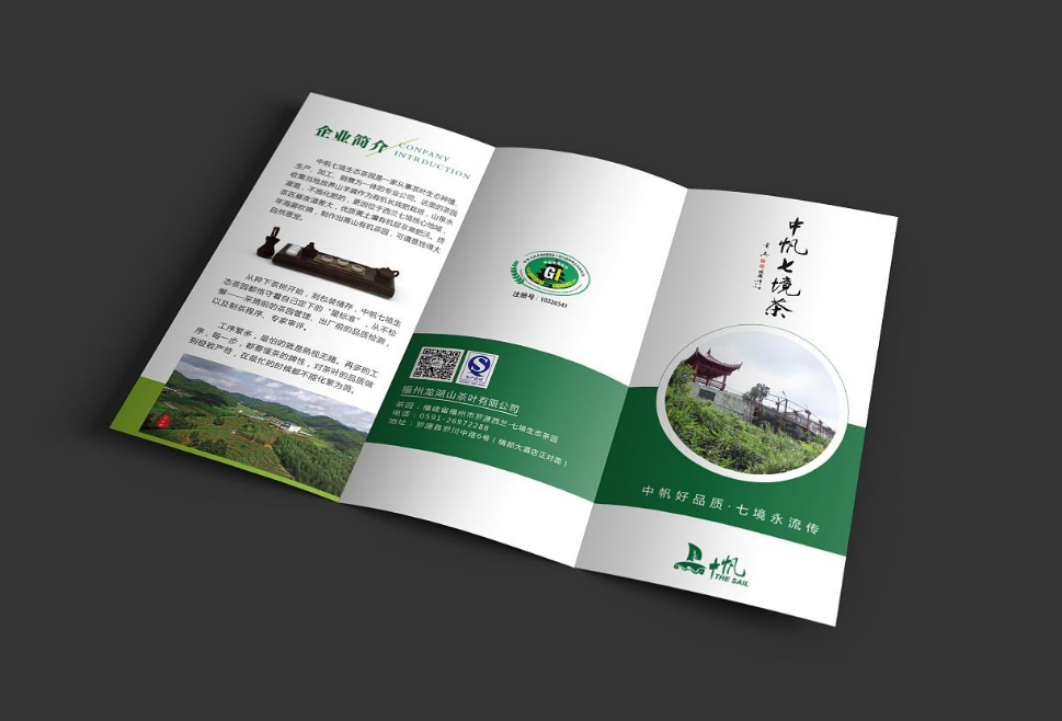 東莞企業(yè)宣傳三折頁設(shè)計(jì) 東莞企業(yè)宣傳三折頁設(shè)計(jì)