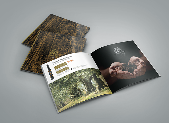 國(guó)外創(chuàng)意營(yíng)銷畫冊(cè)設(shè)計(jì)欣賞