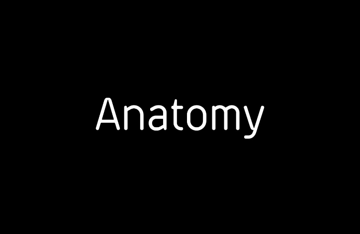 【Anatomy】精品健身房視覺(jué)品牌VI設(shè)計(jì)