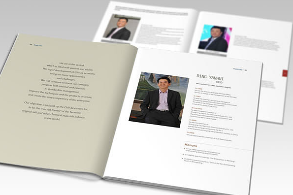 光電畫冊(cè)設(shè)計(jì)【艾比森】高端大氣畫冊(cè)設(shè)計(jì)欣賞