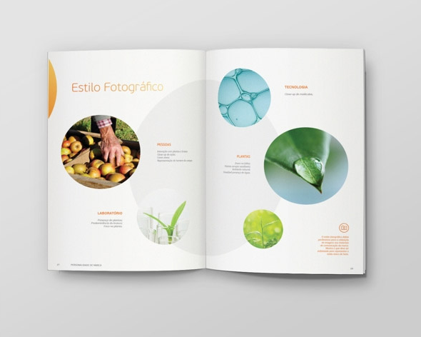 農(nóng)業(yè)科研產(chǎn)品宣傳畫(huà)冊(cè)設(shè)計(jì)